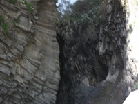 cantara gole23122011 022